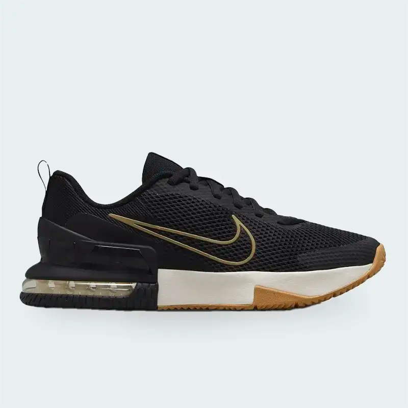 Tenis Nike Air Max Alpha Trainer 6 Negro Hombre