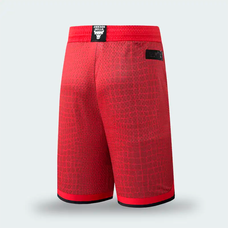 Pantaloneta Chicago Bulls Rojo Hombre