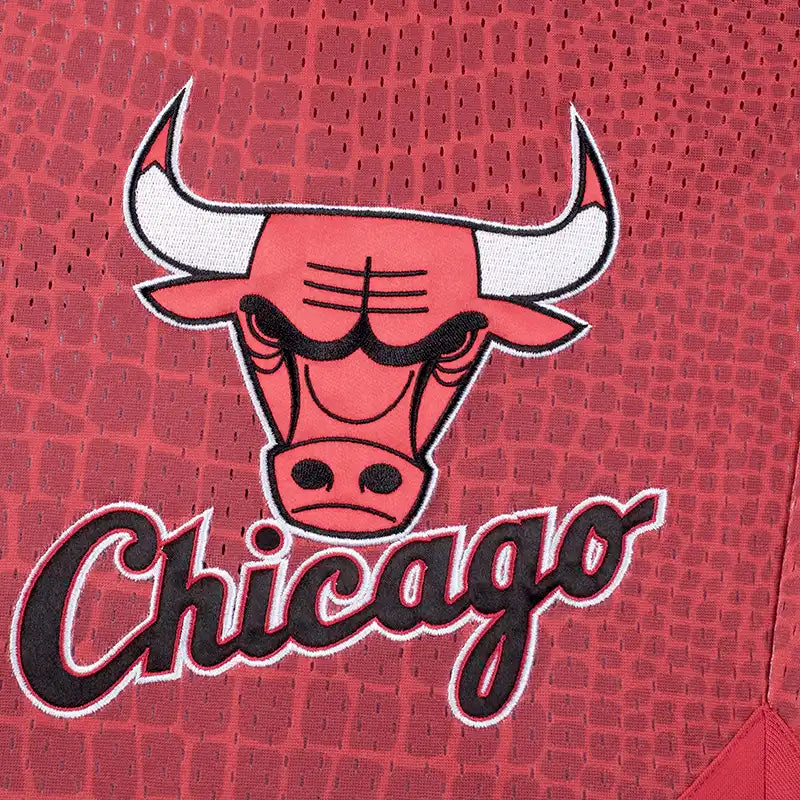 Pantaloneta Chicago Bulls Rojo Hombre