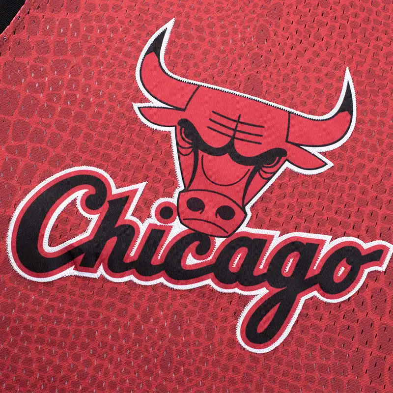 Camisilla NBA Chicago Bulls Rojo Hombre
