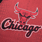 Camisilla NBA Chicago Bulls Rojo Hombre