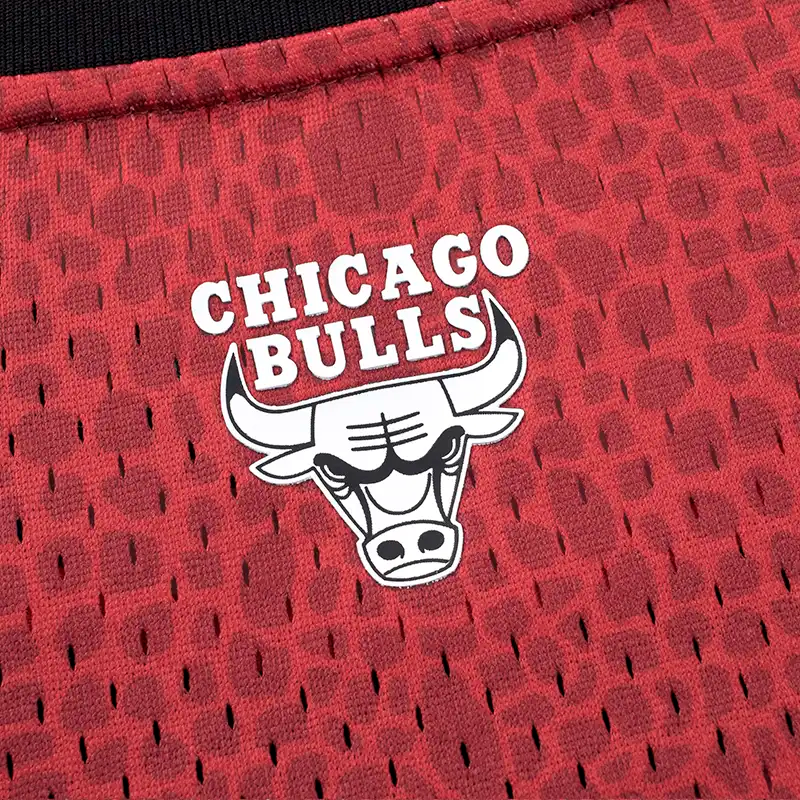 Camisilla NBA Chicago Bulls Rojo Hombre