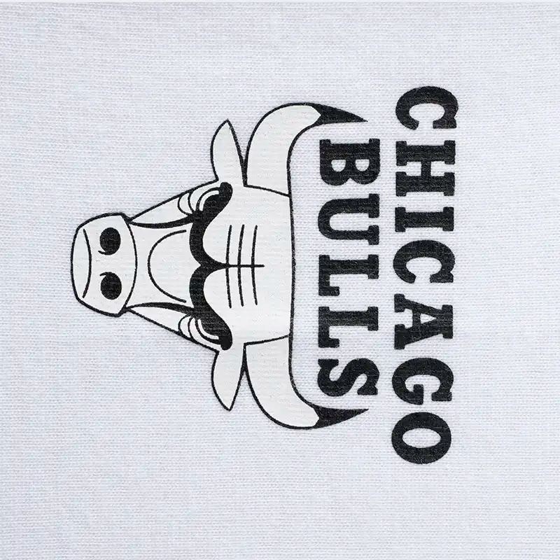 Camiseta NBA Chicago Bulls Blanco Hombre