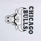 Camiseta NBA Chicago Bulls Blanco Hombre