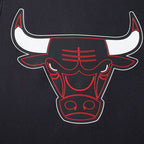 Camisilla NBA Chicago Bulls Negra Hombre
